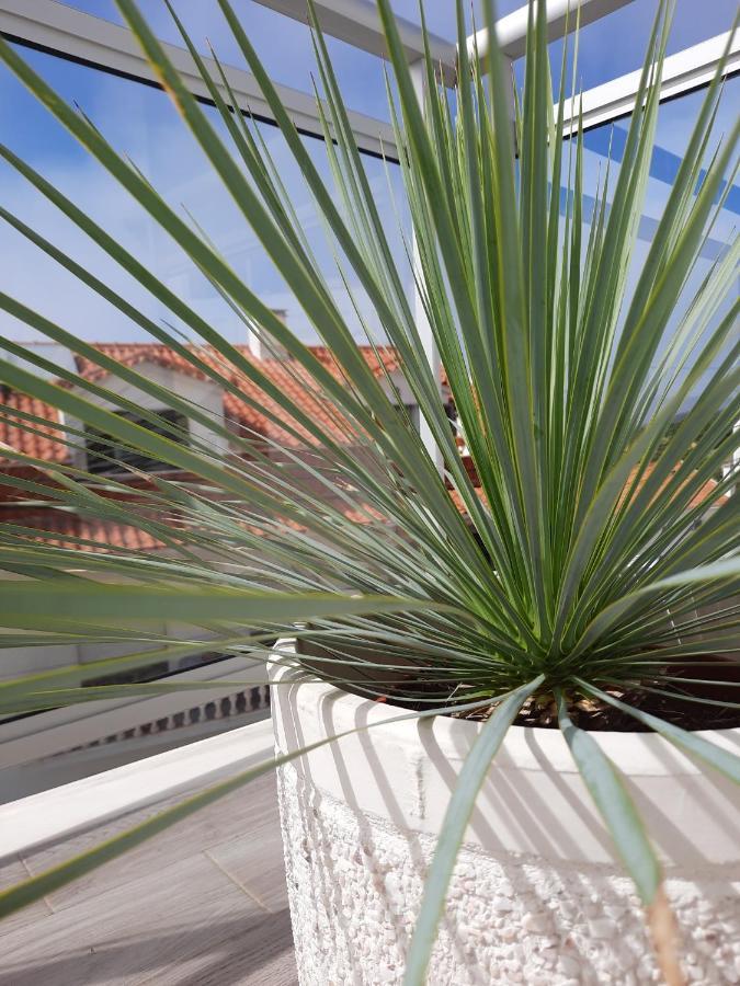 Sitius 5B - New Seaview Apartment With Rooftop Terrace In Historical Centre Sitio Da Nazaré Zewnętrze zdjęcie
